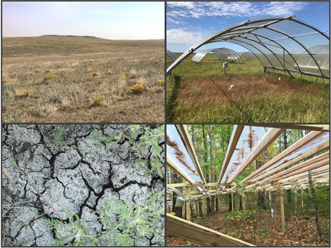 How ecologists define drought, and why we should do better