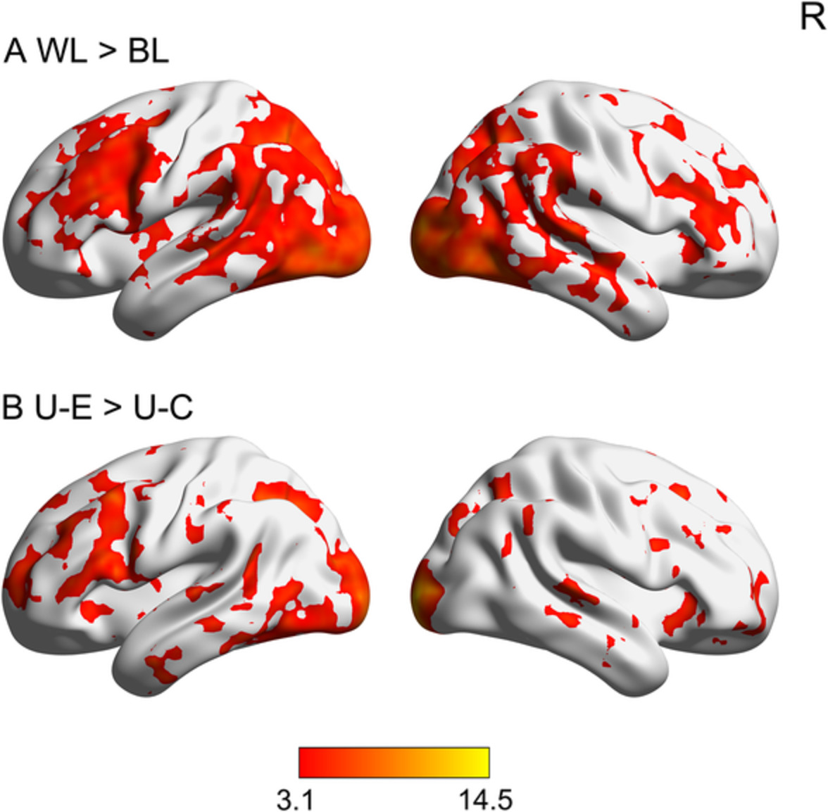 Language distance in orthographic transparency affects cross-language pattern similarity between native and non-native languages