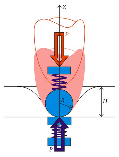 Details are in the caption following the image Details are in the caption following the image