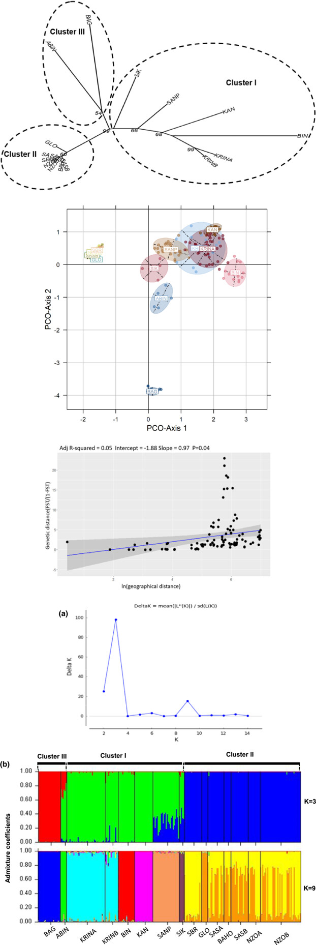 Population genetics of the African snakehead fish Parachanna obscura along West Africa's water networks: Implications for sustainable management and conservation