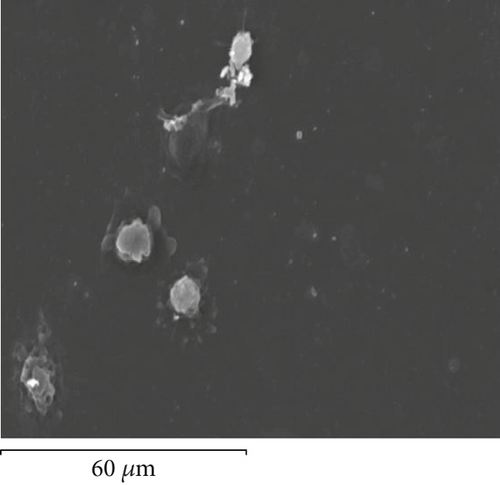 Details are in the caption following the image