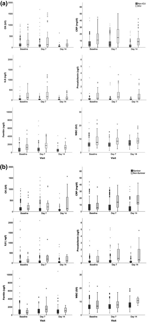 Muscle involvement in SARS-CoV-2 infection
