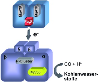 Tracing the Hydrogen Source of Hydrocarbons Formed by Vanadium Nitrogenase