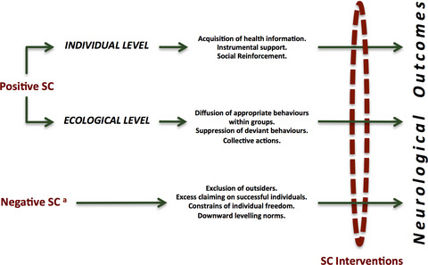Social capital: Implications for neurology