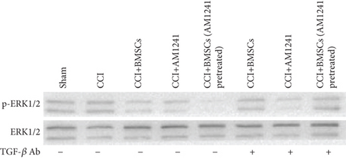 Details are in the caption following the image
