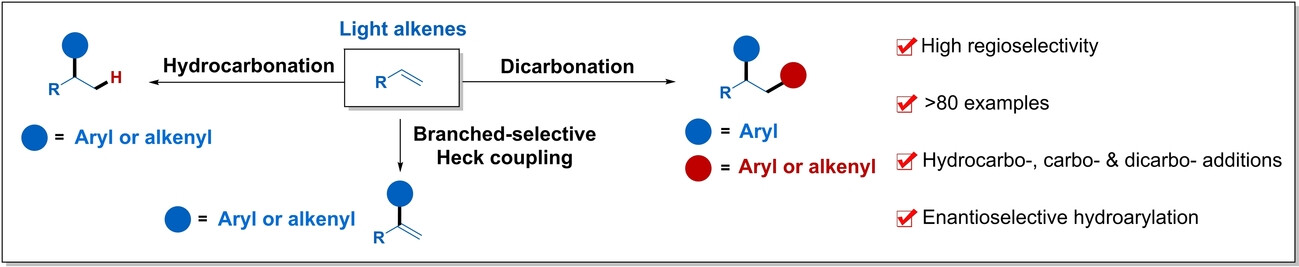 Divergent and Selective Light Alkene Cross-Coupling