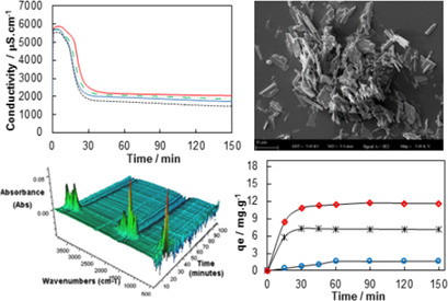 Ultrasonic Irradiation during the Calcium Sulfate Hemihydrate to Dihydrate Transformation Process