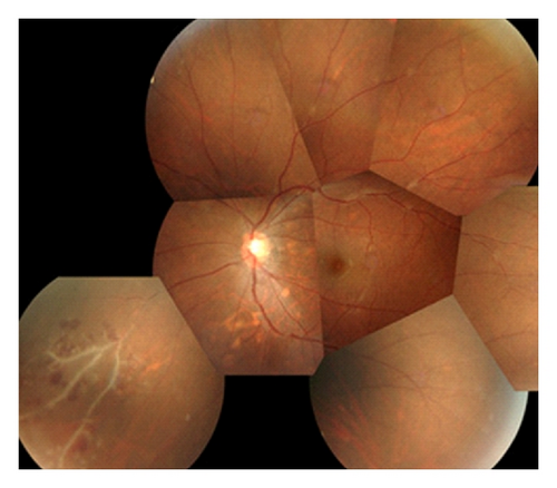 Details are in the caption following the image Details are in the caption following the image