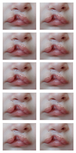 Details are in the caption following the image Details are in the caption following the image