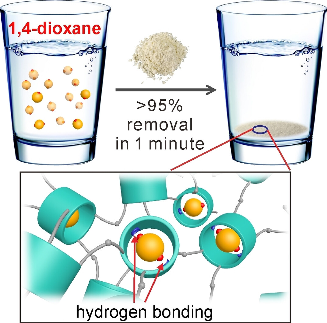 Effective and Rapid Removal of Polar Organic Micropollutants from Water by Amide Naphthotube-Crosslinked Polymers