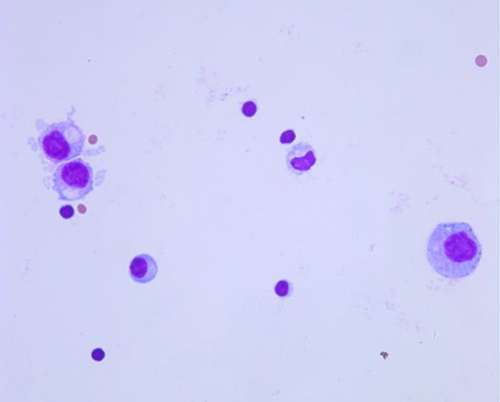 Details are in the caption following the image