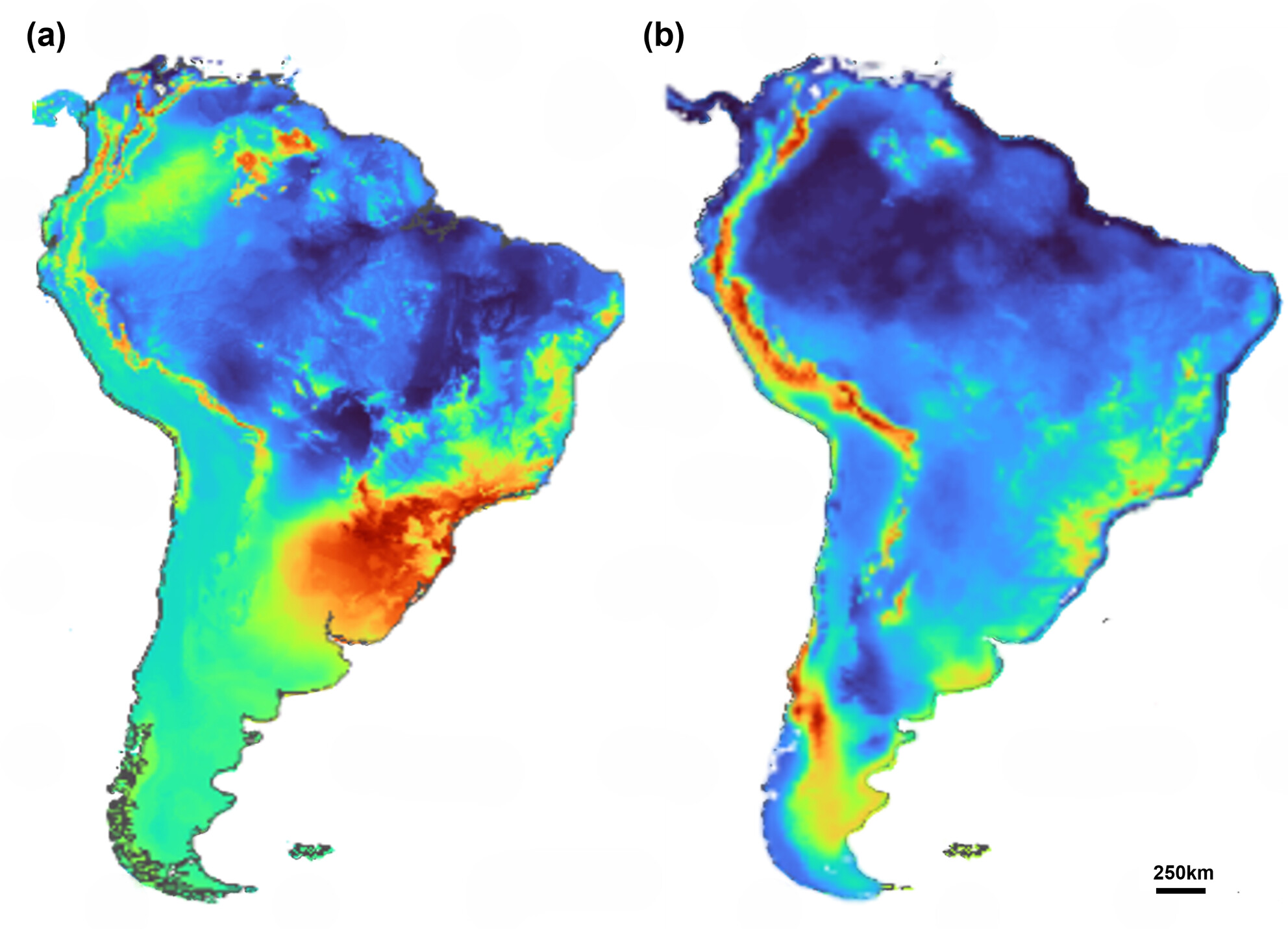 Forecasting climate change impacts on neotropical Myotis: Insights from ecological niche models for conservation strategies