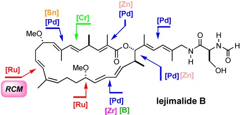 Total Synthesis of Iejimalide B
