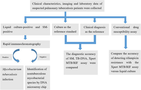 Assessing the utility of the Xpert Mycobacterium tuberculosis/rifampin assay for analysis of bronchoalveolar lavage fluid in patients with suspected pulmonary tuberculosis