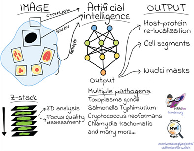 HRMAn 2.0: Next-generation artificial intelligence–driven analysis for broad host–pathogen interactions