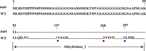 Details are in the caption following the image