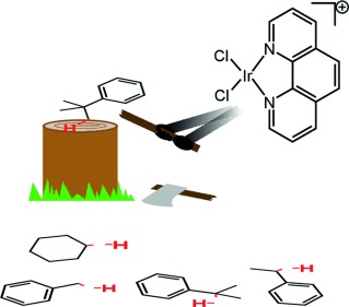 Intermolecular C<span class='icomoon'></span>H Bond Activation by a Cationic Iridium(III) Dichloride Phenanthroline Complex