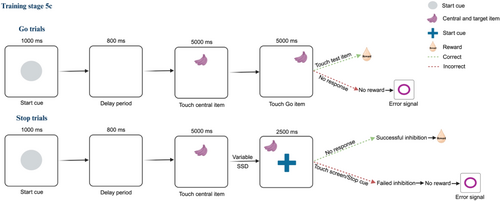 Details are in the caption following the image Details are in the caption following the image