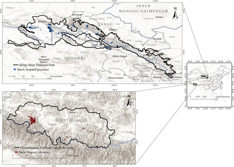 Meta-replication, sampling bias, and multi-scale model selection: A case study on snow leopard (Panthera uncia) in western China