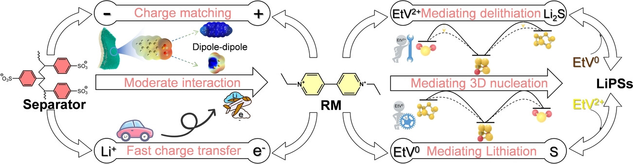Cooperation of Multifunctional Redox Mediator and Separator Modification to Enhance Li-S Batteries Performance under Low Electrolyte/Sulfur Ratios