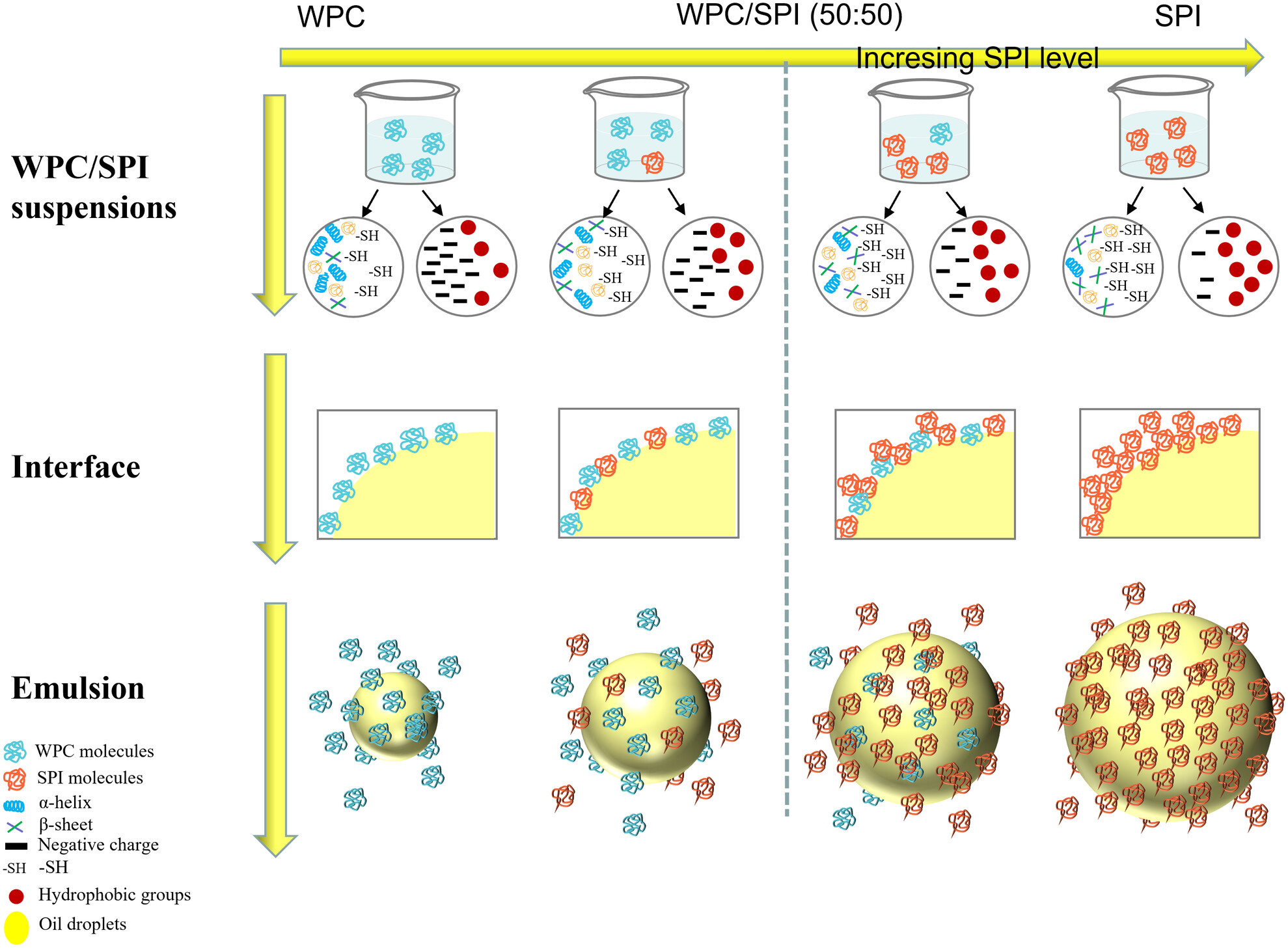 Physicochemical, structural, and emulsifying properties of stable blended whey and soy protein colloidal dispersion prepared by pH-shifting and ultrasound