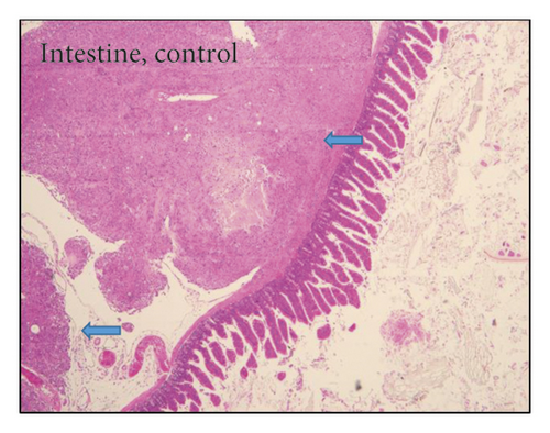 Details are in the caption following the image