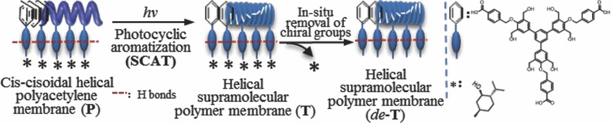 A Chiral Supramolecular Polymer Membrane with no Chiral Substituents by Highly Selective Photocyclic Aromatization of a One-Handed Helical Cis-cisoidal Polyphenylacetylene