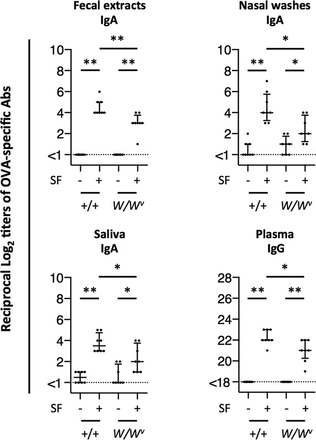 Mast cells partially contribute to mucosal adjuvanticity of surfactin in mice