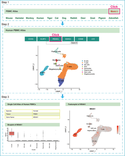 Details are in the caption following the image Details are in the caption following the image