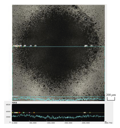 Details are in the caption following the image Details are in the caption following the image