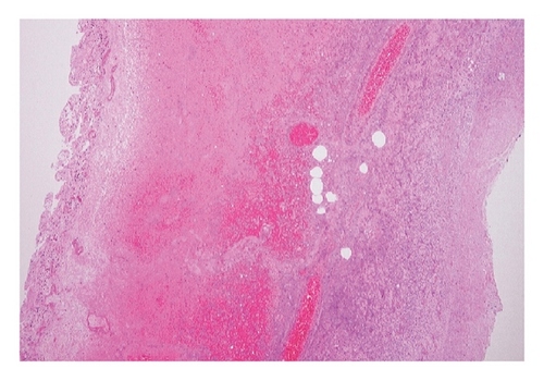 Details are in the caption following the image Details are in the caption following the image