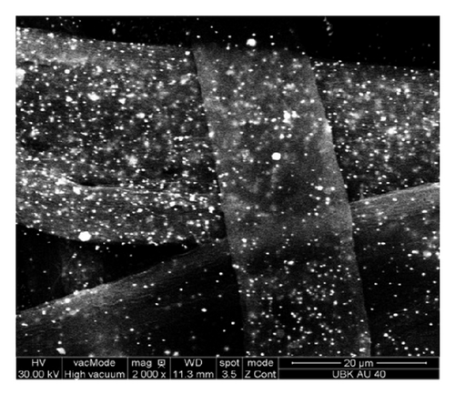 Details are in the caption following the image