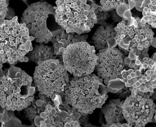 Hierarchically Structured Microparticles Formed by Interfacial Instabilities of Emulsion Droplets Containing Amphiphilic Block Copolymers