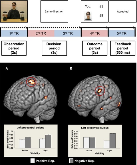 Reputation in an economic game modulates premotor cortex activity during action observation