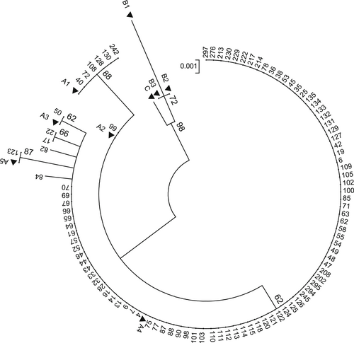 Details are in the caption following the image