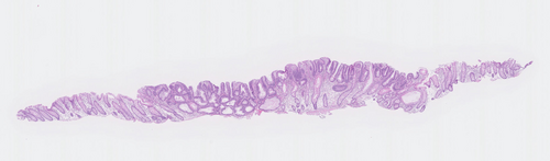 Details are in the caption following the image