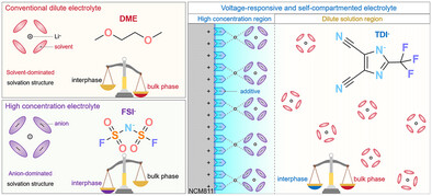 Self-Compartmented Electrolyte Design for Stable Cycling of Lithium Metal Batteries under Extreme Conditions