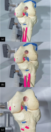 Details are in the caption following the image Details are in the caption following the image
