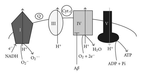 Details are in the caption following the image