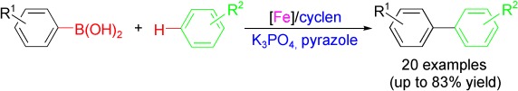 Iron-Mediated Direct Arylation of Unactivated Arenes