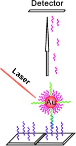 Monolayer-Barcoded Nanoparticles for On-Chip DNA Hybridization Assay