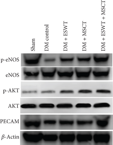 Details are in the caption following the image