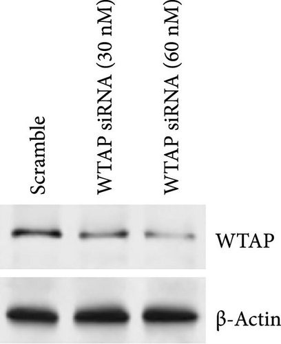 Details are in the caption following the image
