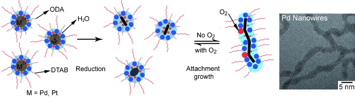 Synthesis of Ultrathin Palladium and Platinum Nanowires and a Study of Their Magnetic Properties