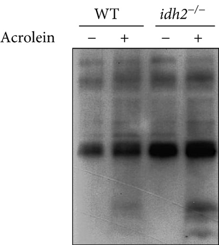 Details are in the caption following the image