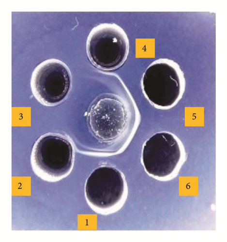 Details are in the caption following the image