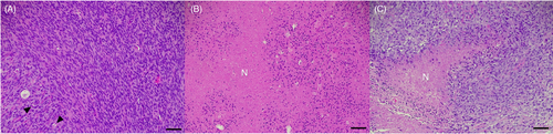 Details are in the caption following the image Details are in the caption following the image