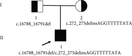Details are in the caption following the image