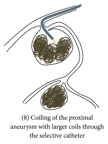 Details are in the caption following the image