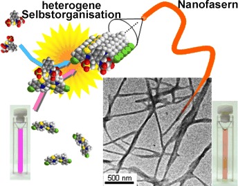 Amplification of Molecular Information through Self-Assembly: Nanofibers Formed from Amino Acids and Cyanine Dyes by Extended Molecular Pairing